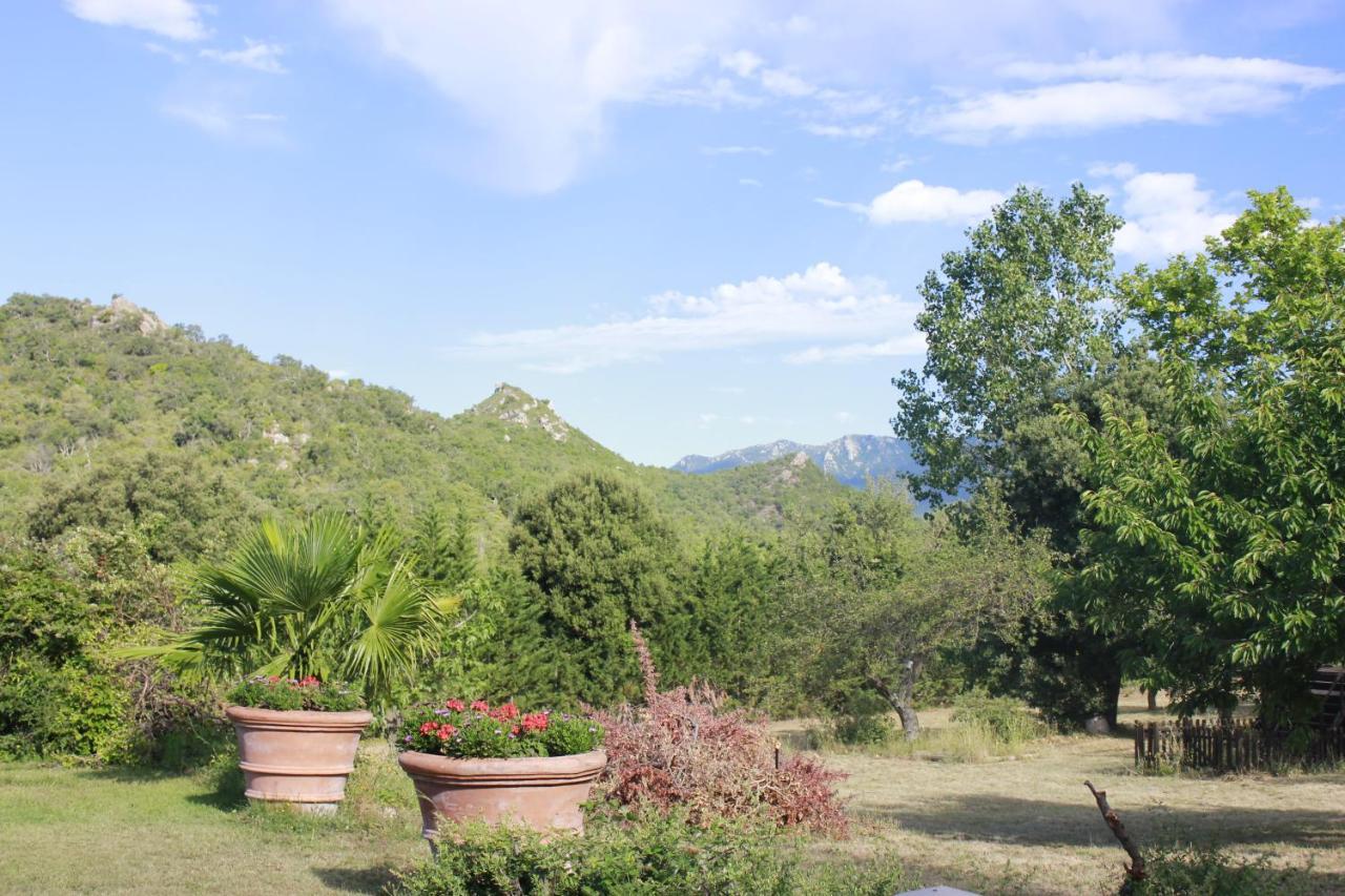 Masia Mimosa Darnius Esterno foto
